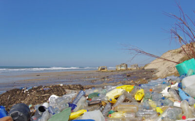 Mikroplastik: Konkrete Maßnahmen zum Meeresschutz
