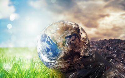 OECD-Prognose: Verdreifachung der weltweiten Kunststoffabfälle