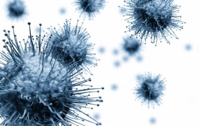Studie: Viren reisen auf Mikroplastik