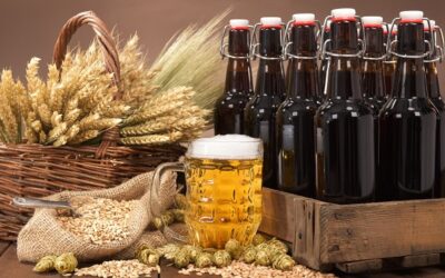 Forschung: Ältestes Bier Deutschlands entschlüsselt