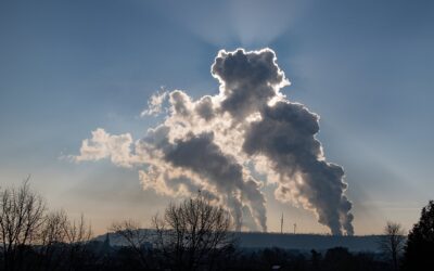 Kohlenstoffmanagement: Akademien plädieren für Gesamtstrategie